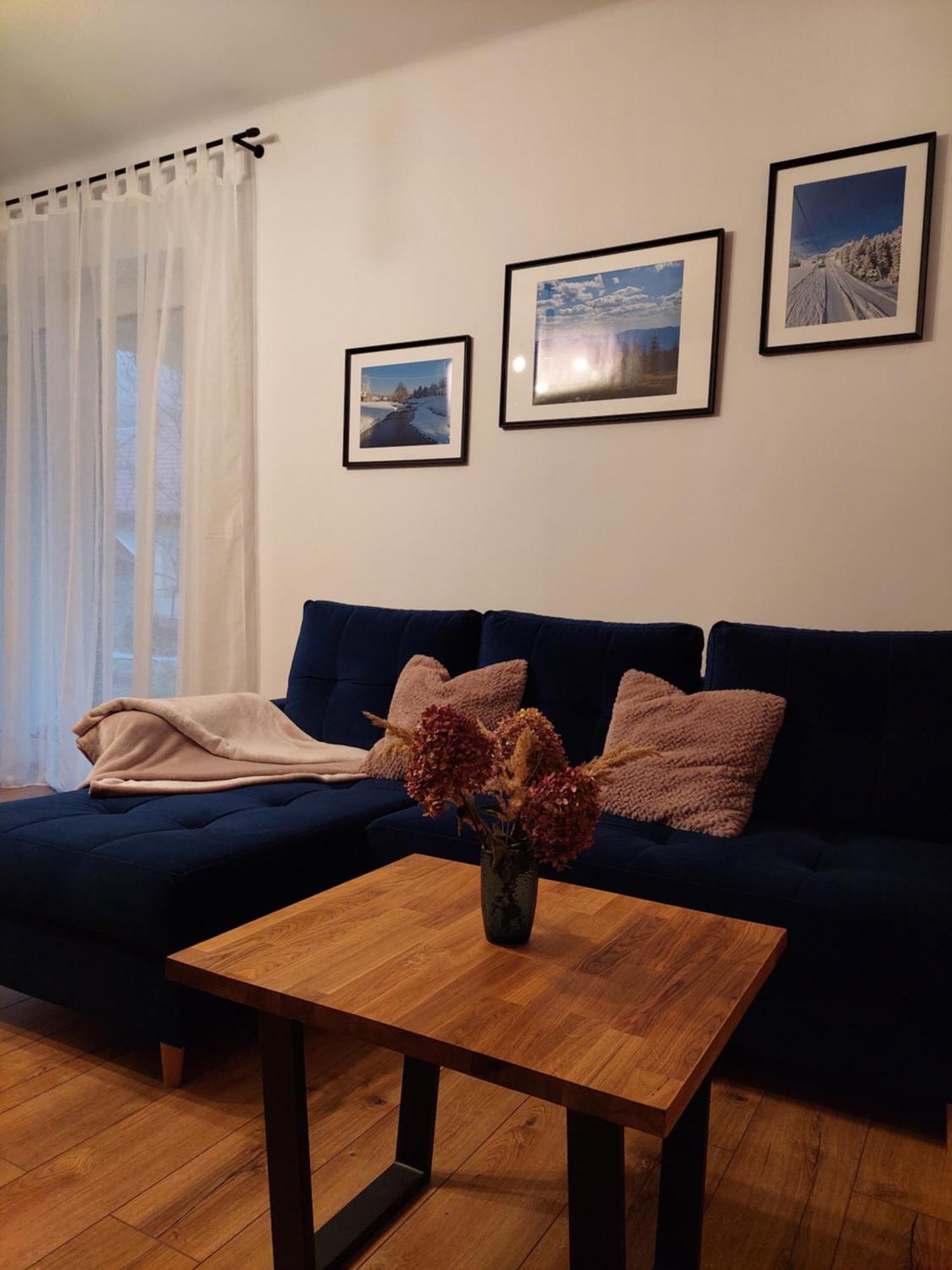 Apartamenty Brenna Klimorowka エクステリア 写真